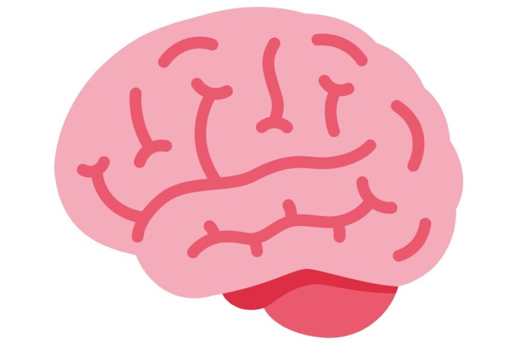 Illustration of a pink brain with distinct grooves and curves, symbolizing cognitive processes related to credit repair and financial literacy.